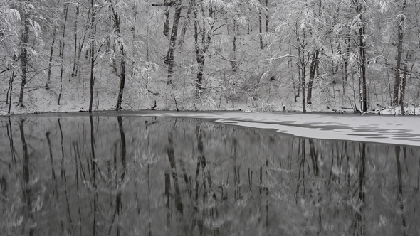 Reflection of Snow-covered Trees in a Winter Lake