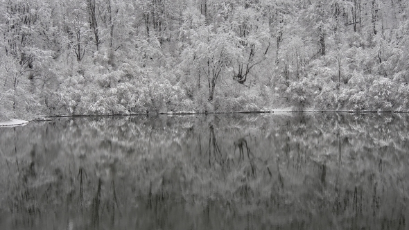 Hoarfrost on the Branches of Trees Is Reflected in the Lake