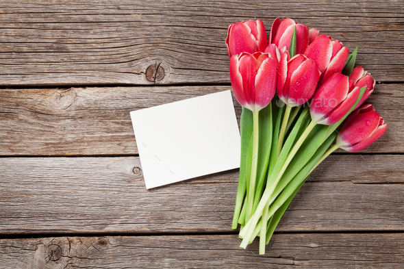 Red tulip flowers bouquet - Stock Photo - Images