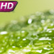 Watermelon Surface and Water Drops - VideoHive Item for Sale