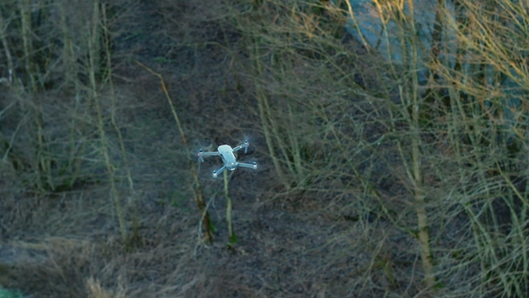 Drone Over Trees alt