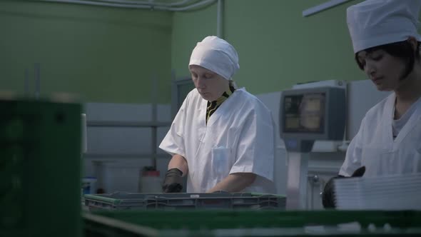 Female Workers in Black Proective Gloves Prepare Fresh Meat for Delivery to Stores alt