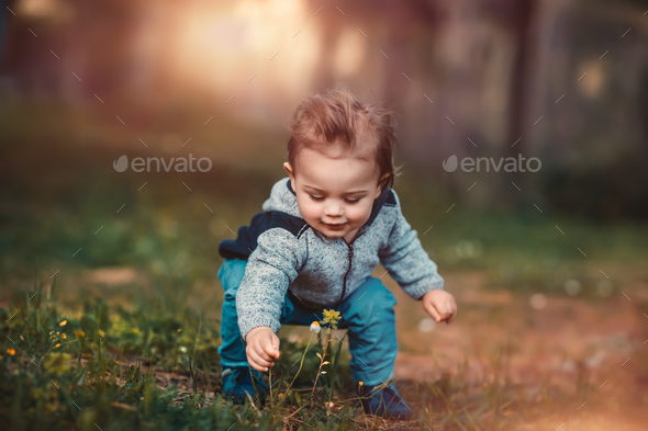 Baby boy collect flowers - Stock Photo - Images