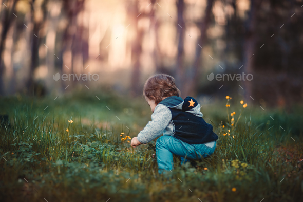 Baby boy plucking flowers - Stock Photo - Images