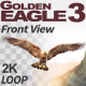 Golden Eagle-3 Front View - VideoHive Item for Sale