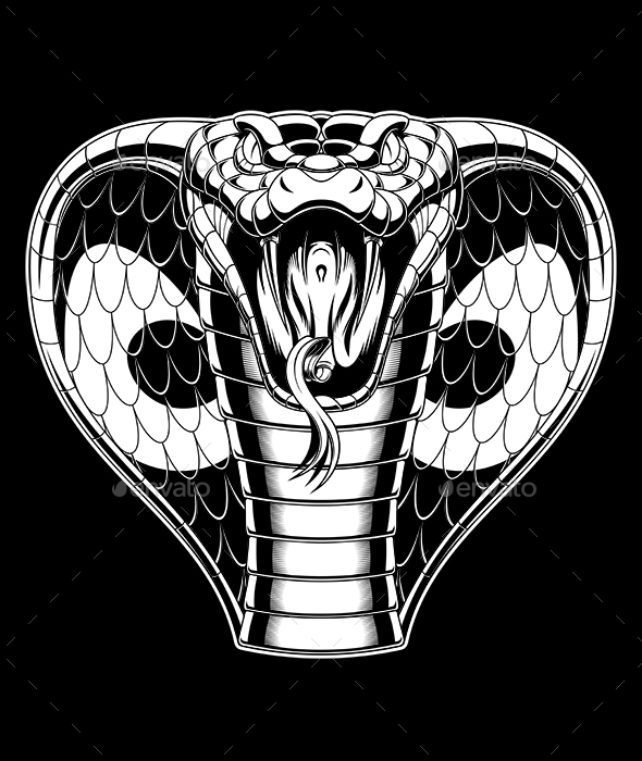 Evil Cobra - Animals Characters