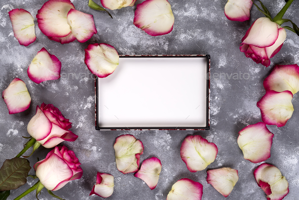 Beautiful rose flowers on gray stone table. Floral border. - Stock Photo - Images