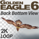 Golden Eagle-6 Back Bottom View - VideoHive Item for Sale