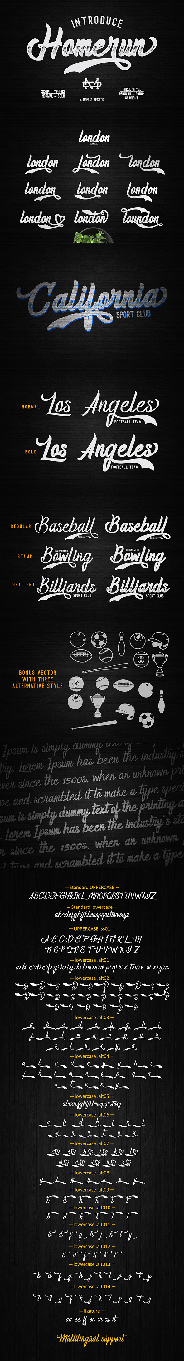 Homerun Typeface - Script Fonts