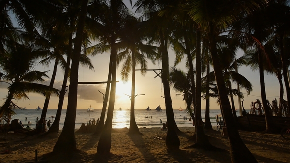 Beach with Silhouettes of Tourists Among Palm Trees on the Island of Boracay alt