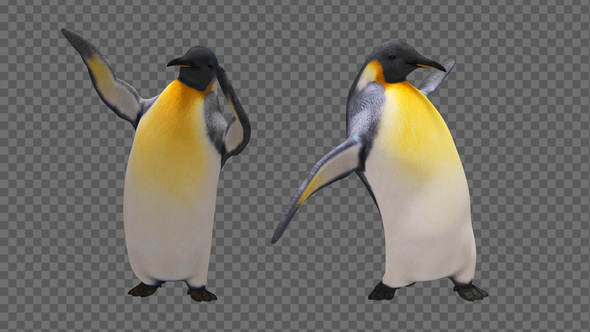 Dancing Penguin (2-Pack)