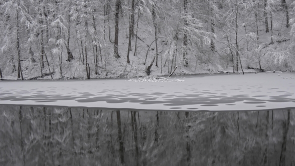 Winter Forest and Winter Lake