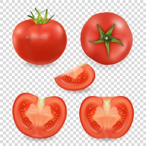 Vector 3d Realistic Different Tomato Icon Set - Food Objects