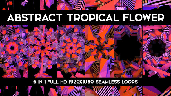 Abstract Tropical Flowers Loops Pack