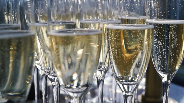 Glasses of Champagne with a Large Depth of Field Clip Many Glass of Champagne alt