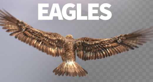 Eagles