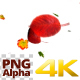 Autumn Leaves - VideoHive Item for Sale