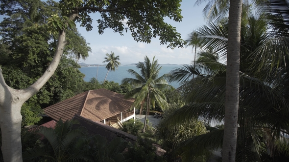 Thailand Sea Islalnd Beach Houses, Wild Mountains Nature Tree and Palm