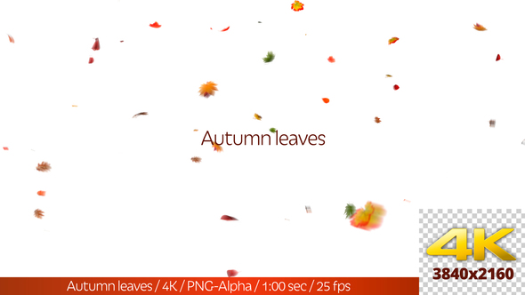 Autumn Leaves alt