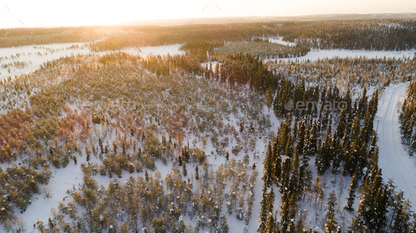 Aerial drone view of idyllic winter landscape. Green snow covered forest from the top - Stock Photo - Images