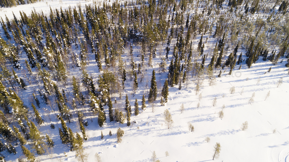 Aerial drone view of idyllic winter landscape. Evergreen snow covered forest from the top, sun rise. - Stock Photo - Images