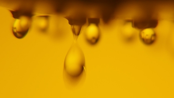Soft Focus Water Droplets Come Down From a Shower Nozzle in a Golden Bathroom