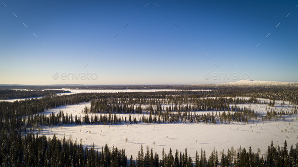 Aerial/Drone View of Snow Covered Tree Forest - Stock Photo - Images