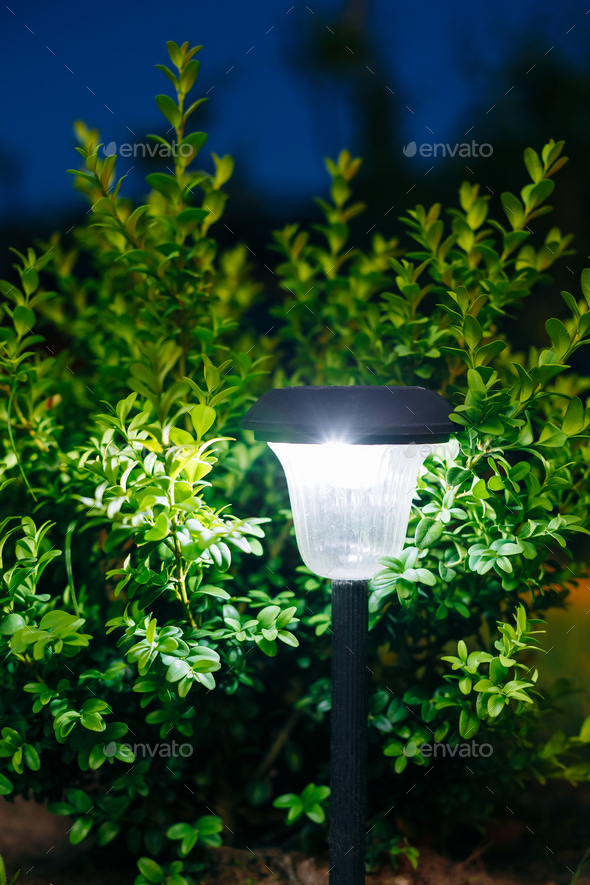 Small Solar Garden Light, Lantern In Flower Bed. Garden Design. - Stock Photo - Images