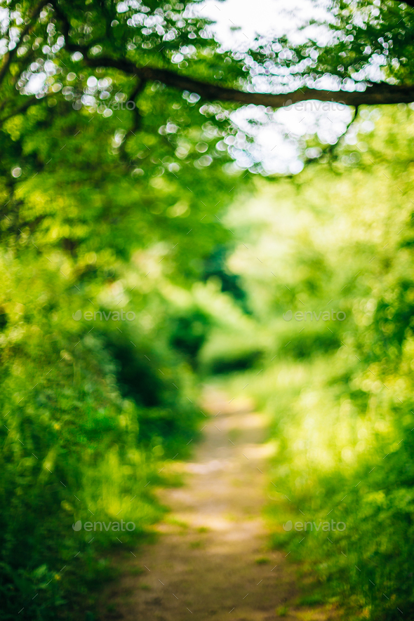 Rodet Hilse pust Blurred Abstract Bokeh Boke Natural Background Of Walkway Path L Stock  Photo by Grigory_bruev