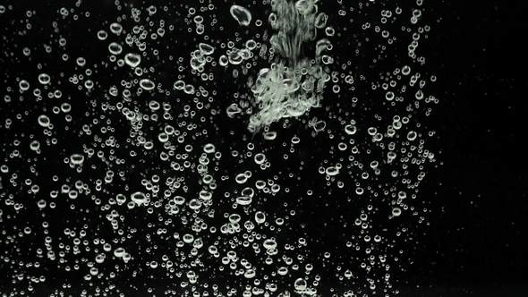 Bubbles on Black alt