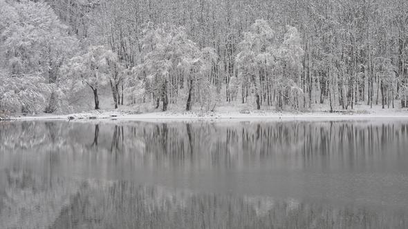 Lake in the Forest in Winter