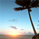 Dawn On A Tropical Island - VideoHive Item for Sale