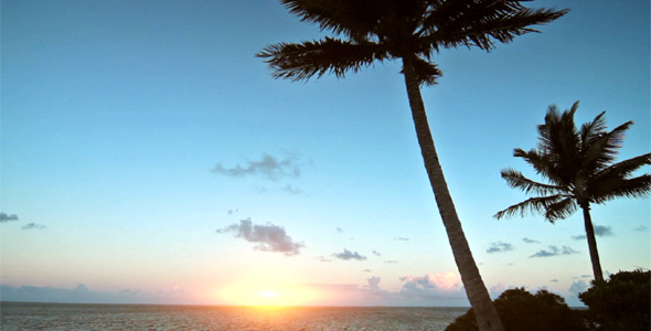 Dawn On A Tropical Island