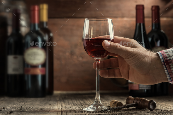 Wine tasting experience - Stock Photo - Images