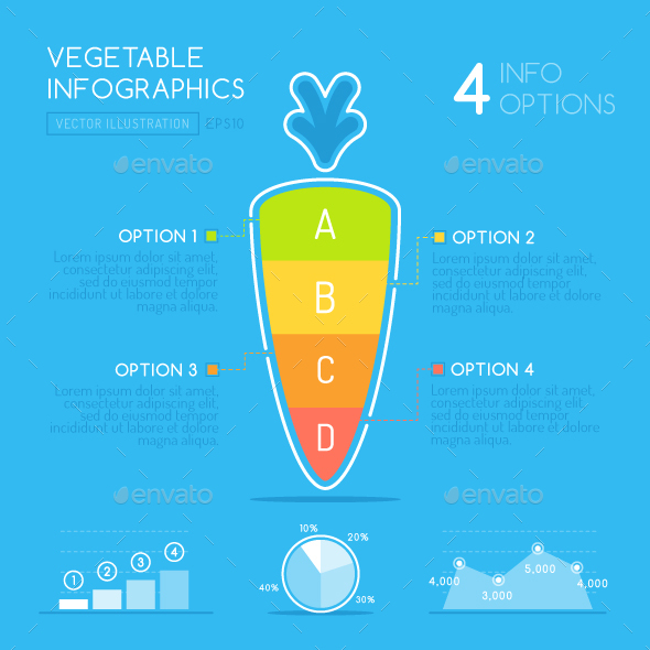 Vegetable Infographic - Infographics