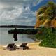 Tropical Beach - VideoHive Item for Sale