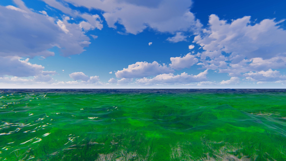 Realistic Ocean