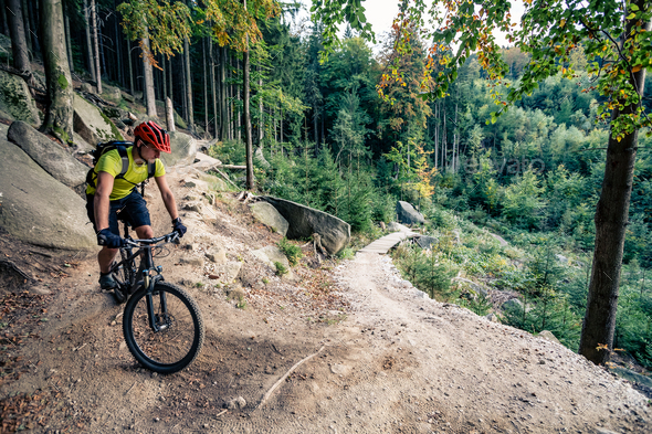 Mountain biker riding cycling in autumn forest - Stock Photo - Images