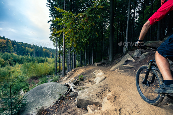 Mountain biker riding cycling in autumn forest - Stock Photo - Images