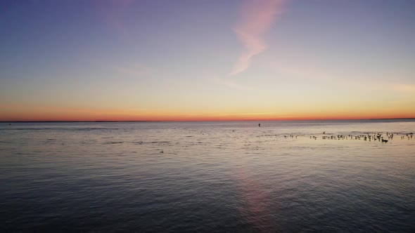 Sunset Sea And Seagulls