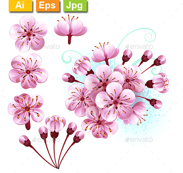 Set of Sakura Flowers - Flowers & Plants Nature