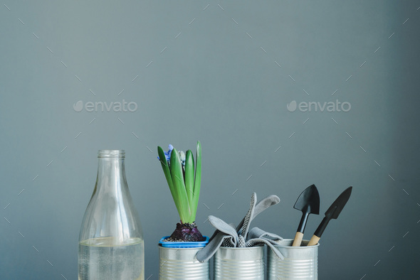 hyacinth mix plant, gloves and gardening tools in metal pot and glass bottle - Stock Photo - Images