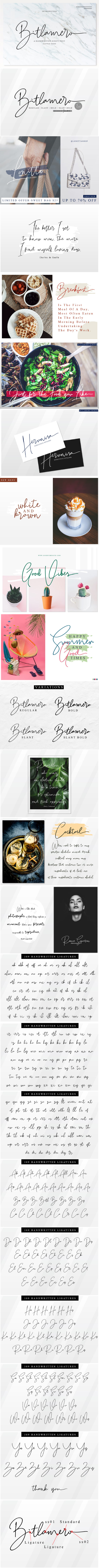 4 Style Font - Bitlamero Script - Calligraphy Script