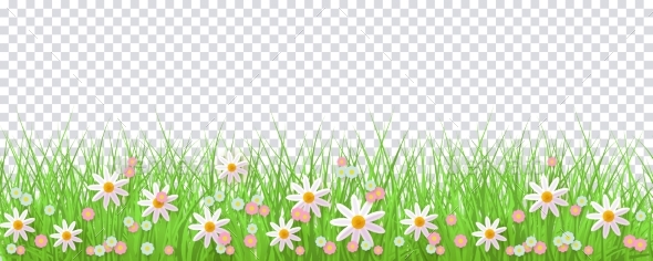 Spring Border with Green Grass and Flowers - Flowers & Plants Nature