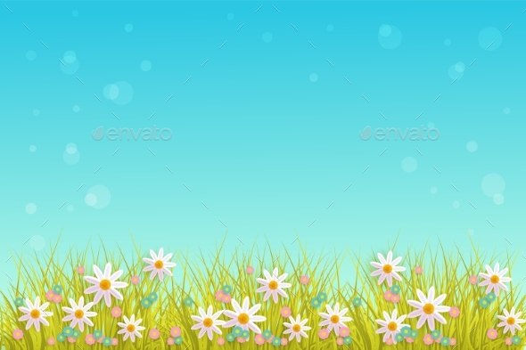 Spring Grass and Flowers Border on Blue Sky - Flowers & Plants Nature