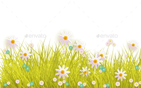 Spring Grass and Flowers Border on White - Flowers & Plants Nature
