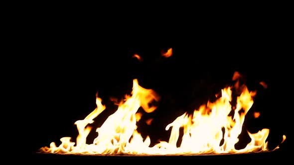 Closeup shot of the Huge line of flames rising from the lower edge and swelling up by wind.  alt