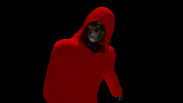 Skeleton in Red Robe