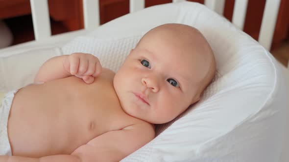 Cute Newborn Baby Lies in Baby Cocoon and Moves Arms and Legs alt