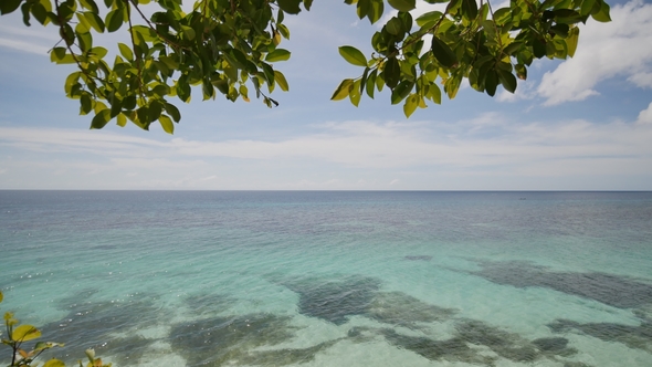 View From the Height of the Balcony To the Ocean and Coral Reefs of the Shallow Waters of the alt